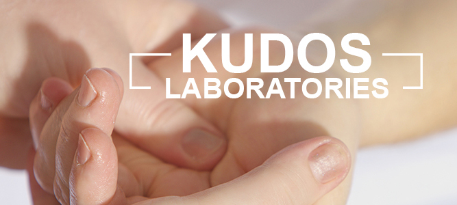 аюрведические препараты Cilpa