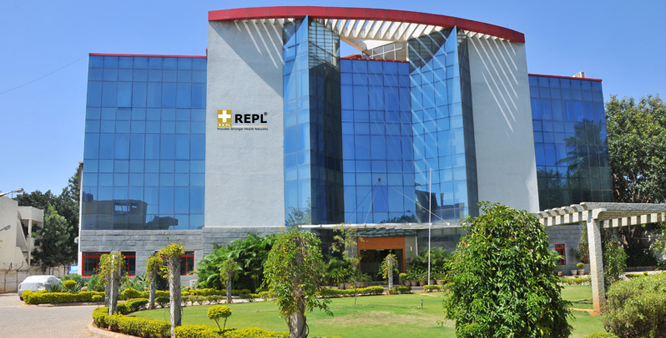 аюрведические препараты REPL