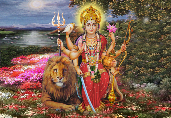 ������ �����