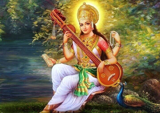 ������ ���������