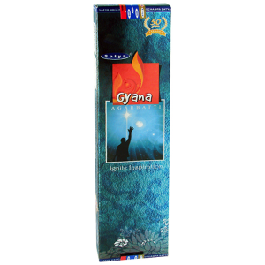 ���������� ����������� ����� (Gyana Satya)