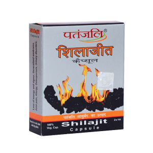 �������� ���������� (Shilajeet Patanjali), 20 ������